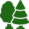 forest 2